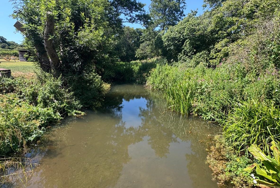 Portbridge Stream